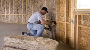 Best Commercial Insulation Services  in Moose Lake, MN